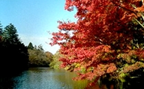 雲場池（Kumoba Pond）