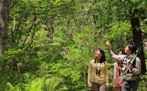 國立輕井澤野鳥之森（啄木鳥picchio）