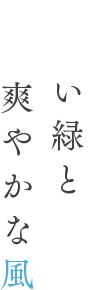 深い緑と爽やかな風